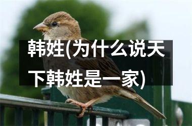 韩姓(为什么说天下韩姓是一家)