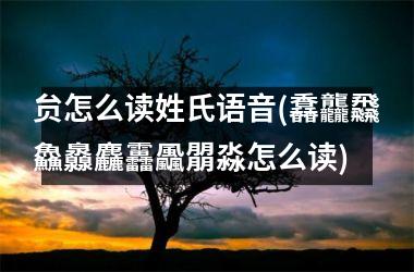 贠怎么读姓氏语音(馫龘飝鱻灥麤靐飍朤淼怎么读)