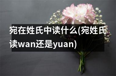 宛在姓氏中读什么(宛姓氏读wan还是yuan)