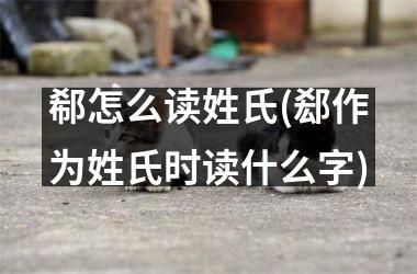 <h3>郗怎么读姓氏(郄作为姓氏时读什么字)