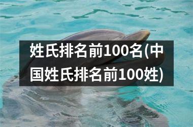 <h3>姓氏排名前100名(姓氏排名前100姓)