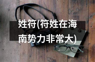 <h3>姓符(符姓在海南势力非常大)