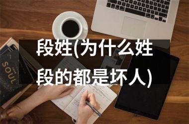 <h3>段姓(为什么姓段的都是坏人)