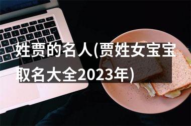 <h3>姓贾的名人(贾姓女宝宝取名大全2025年)