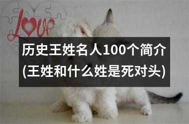 <h3>历史王姓名人100个简介(王姓和什么姓是死对头)