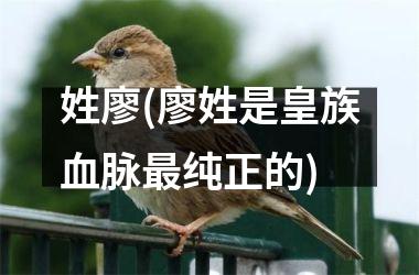 姓廖(廖姓是皇族血脉最纯正的)