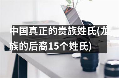 <h3>真正的贵族姓氏(龙族的后裔15个姓氏)