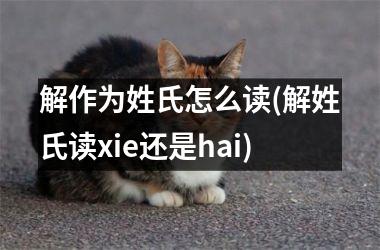 <h3>解作为姓氏怎么读(解姓氏读xie还是hai)
