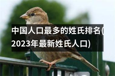 <h3>人口最多的姓氏排名(2025年最新姓氏人口)