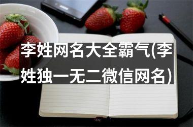 李姓网名大全霸气(李姓独一无二微信网名)