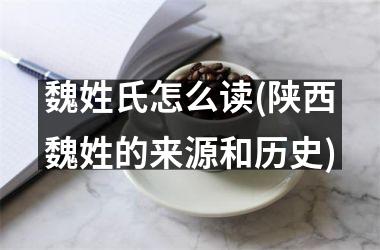 <h3>魏姓氏怎么读(陕西魏姓的来源和历史)