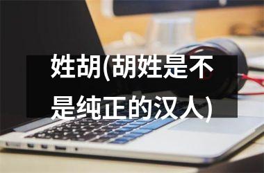 <h3>姓胡(胡姓是不是纯正的汉人)