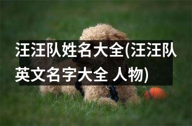 汪汪队姓名大全(汪汪队英文名字大全 人物)