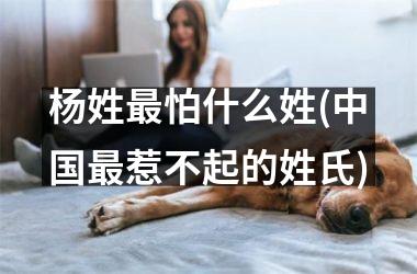杨姓最怕什么姓(最惹不起的姓氏)