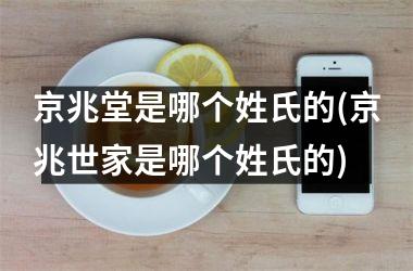 <h3>京兆堂是哪个姓氏的(京兆世家是哪个姓氏的)