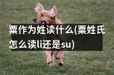 粟作为姓读什么(粟姓氏怎么读li还是su)