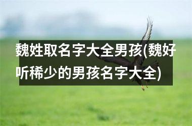 <h3>魏姓取名字大全男孩(魏好听稀少的男孩名字大全)