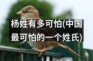 <h3>杨姓有多可怕(最可怕的一个姓氏)