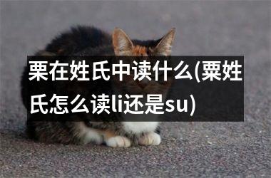 栗在姓氏中读什么(粟姓氏怎么读li还是su)
