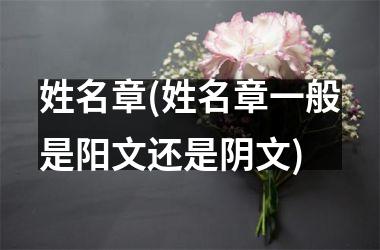 <h3>姓名章(姓名章一般是阳文还是阴文)