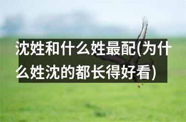 <h3>沈姓和什么姓最配(为什么姓沈的都长得好看)