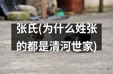 <h3>张氏(为什么姓张的都是清河世家)