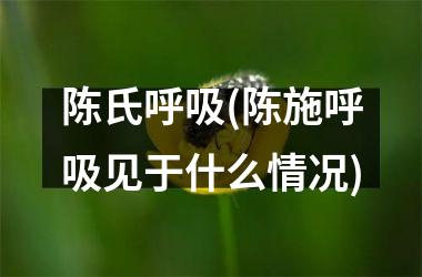 <h3>陈氏呼吸(陈施呼吸见于什么情况)