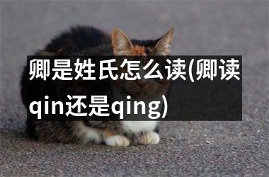 <h3>卿是姓氏怎么读(卿读qin还是qing)