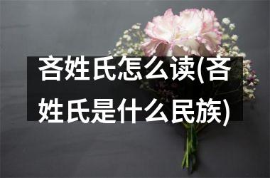 <h3>吝姓氏怎么读(吝姓氏是什么民族)