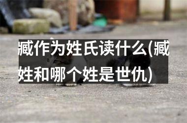 <h3>臧作为姓氏读什么(臧姓和哪个姓是世仇)