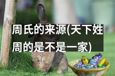 周氏的来源(天下姓周的是不是一家)