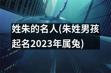 姓朱的名人(朱姓男孩起名2025年属兔)