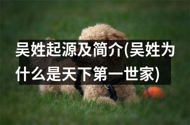 <h3>吴姓起源及简介(吴姓为什么是天下第一世家)