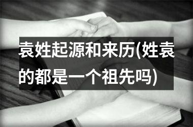 <h3>袁姓起源和来历(姓袁的都是一个祖先吗)