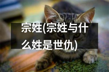 <h3>宗姓(宗姓与什么姓是世仇)