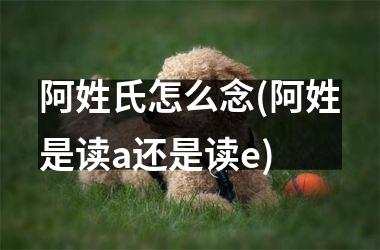 阿姓氏怎么念(阿姓是读a还是读e)