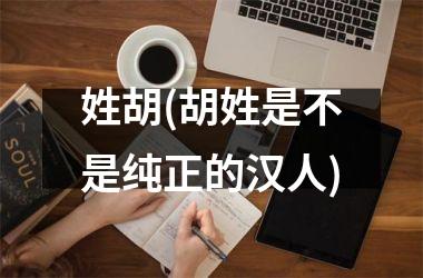 <h3>姓胡(胡姓是不是纯正的汉人)