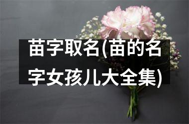 苗字取名(苗的名字女孩儿大全集)