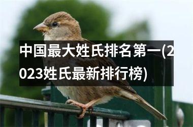 最大姓氏排名第一(2025姓氏最新排行榜)