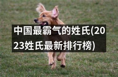 <h3>最霸气的姓氏(2025姓氏最新排行榜)