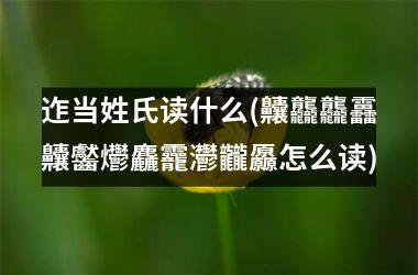 迮当姓氏读什么(齉龘龘靐齉齾爩麤龗灪龖厵怎么读)