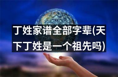 <h3>丁姓家谱全部字辈(天下丁姓是一个祖先吗)
