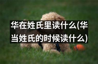 <h3>华在姓氏里读什么(华当姓氏的时候读什么)