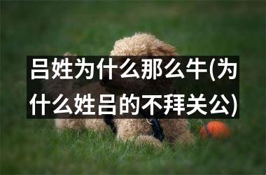 <h3>吕姓为什么那么牛(为什么姓吕的不拜关公)
