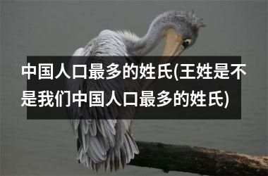 <h3>人口最多的姓氏(王姓是不是我们人口最多的姓氏)