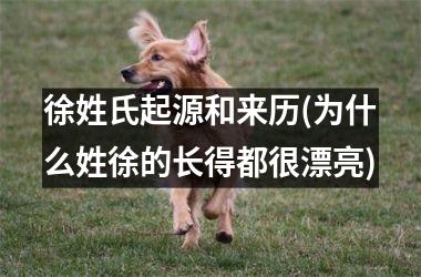 徐姓氏起源和来历(为什么姓徐的长得都很漂亮)