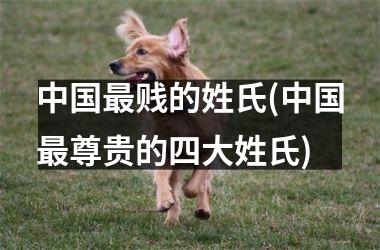 最贱的姓氏(最尊贵的四大姓氏)