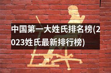<h3>第一大姓氏排名榜(2025姓氏最新排行榜)