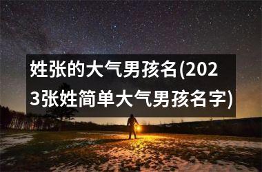 <h3>姓张的大气男孩名(2025张姓简单大气男孩名字)