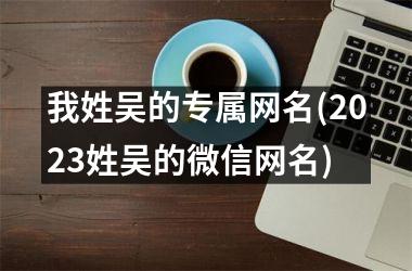 <h3>我姓吴的专属网名(2025姓吴的微信网名)